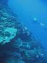 06Moorea - 035